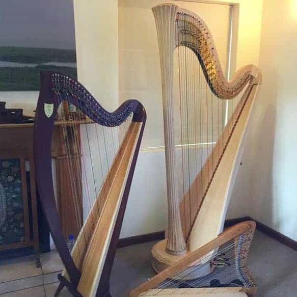 Types of harps