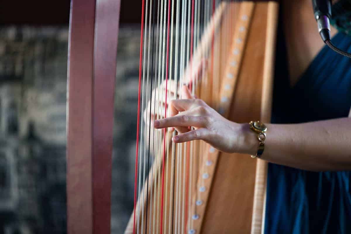 Getting Started with the Harp