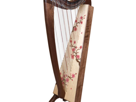 Double Shaylee Concert Line Harp (30 Strings x 2)