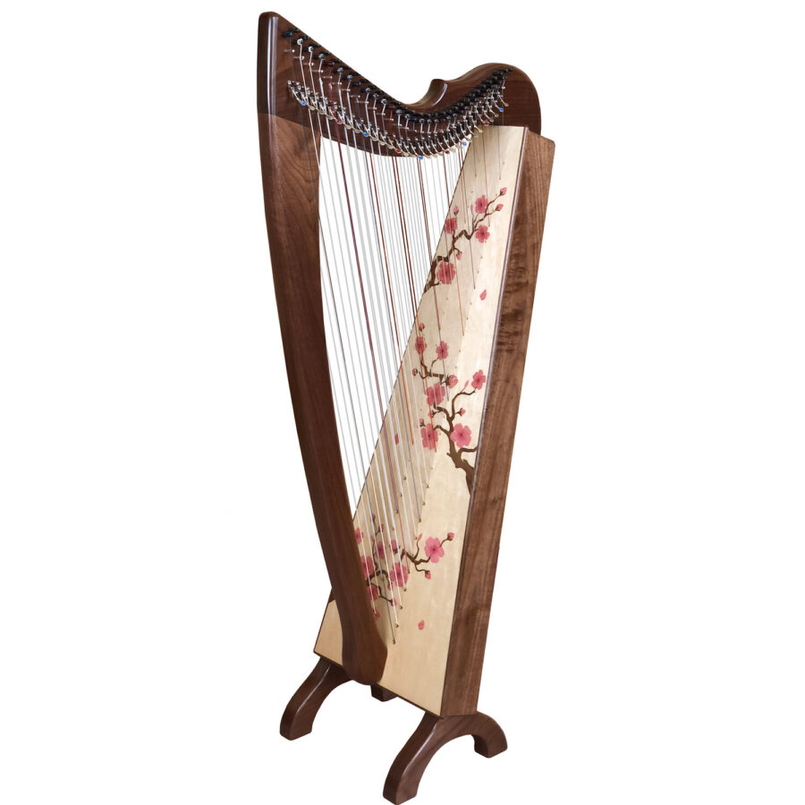 Harps – Learning the Harp