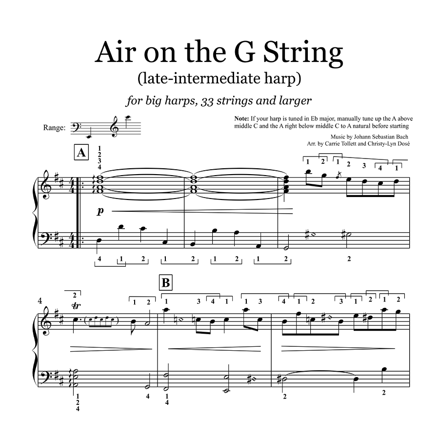 Air On The G String (Late-Intermediate) Course - Image 2