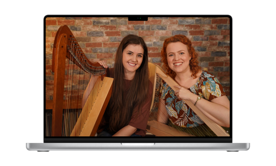 Expert Consultations Learning The Harp Expert consultations learning the harp