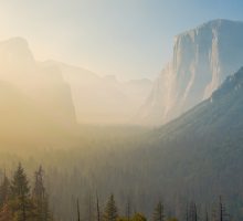 glorious sunrise mountains with forest below